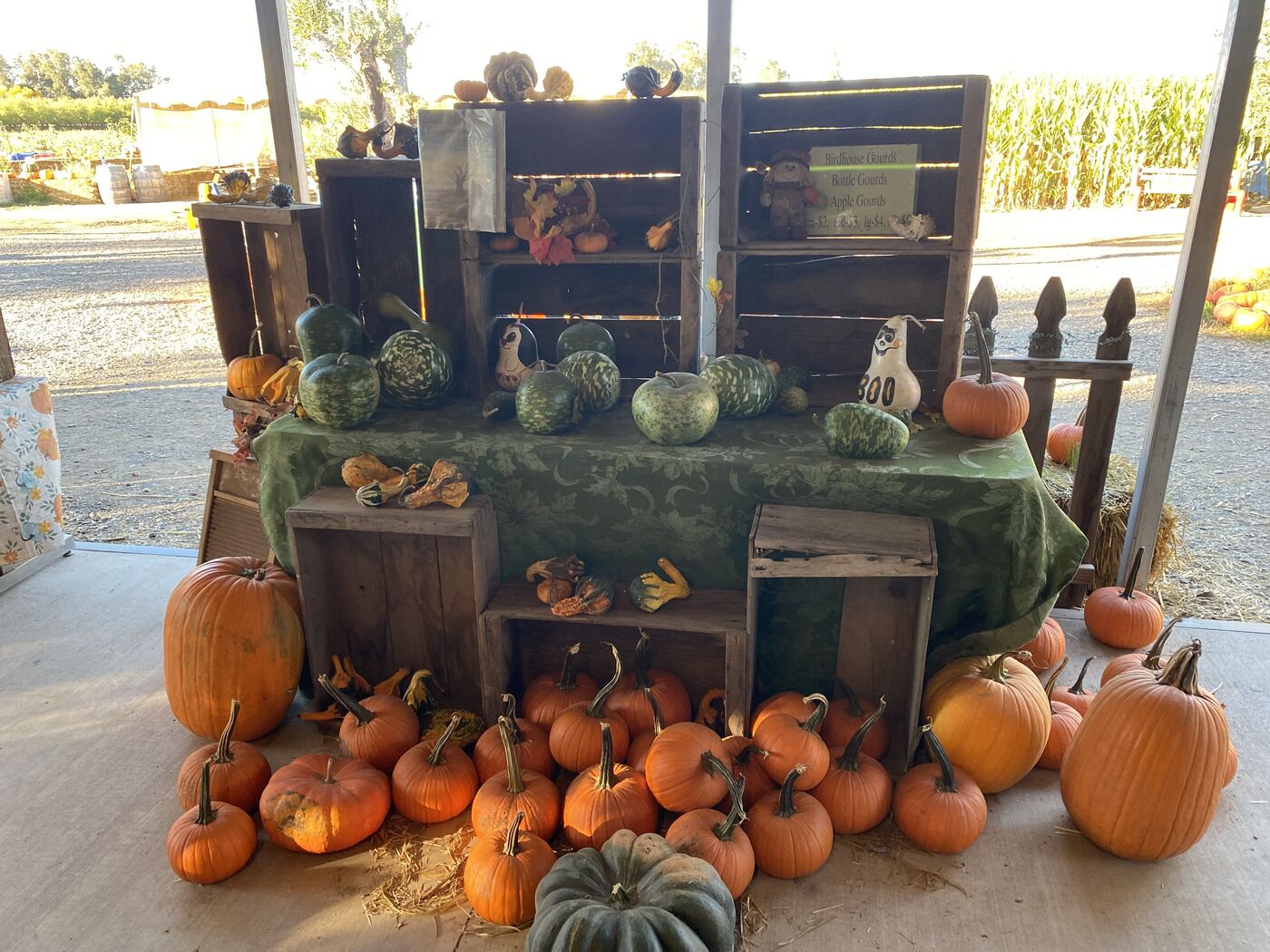 Gourds and pumpkins stacked on crates in the country store