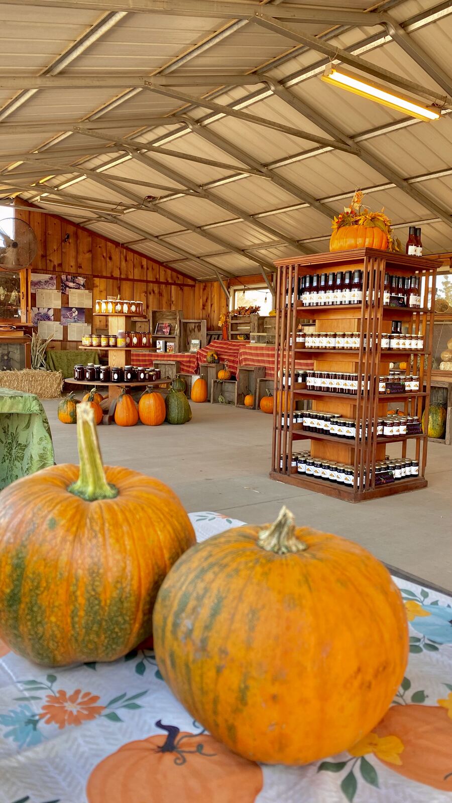 Two pumpkins in front of shelves of jams and honey in the Country Store