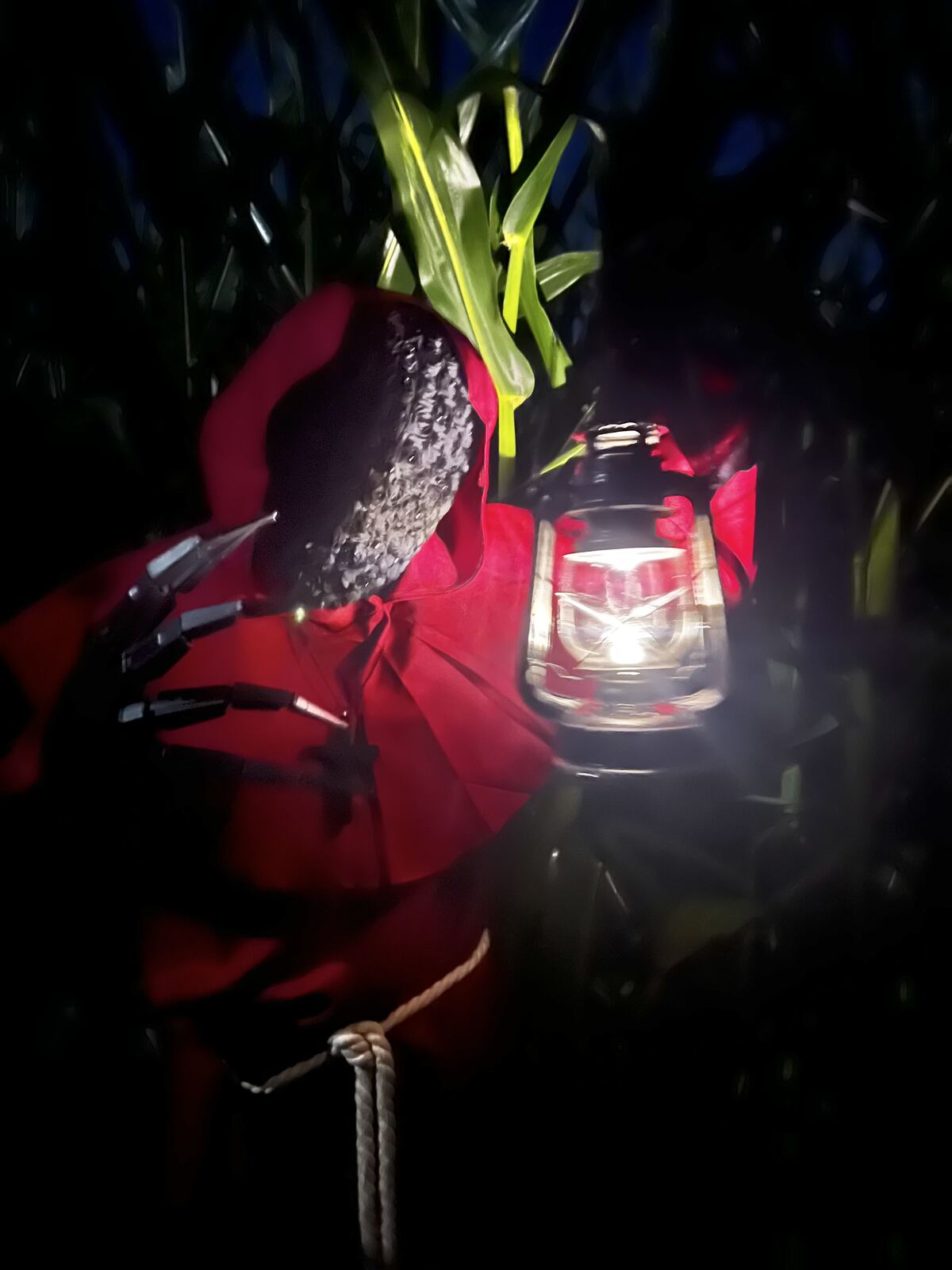 Lantern and costumed figure in the corn maze