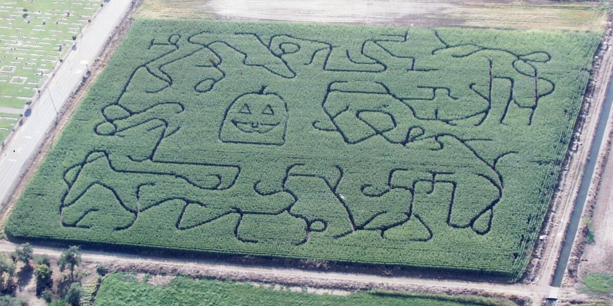Country Pumpkins corn maze design, 2003