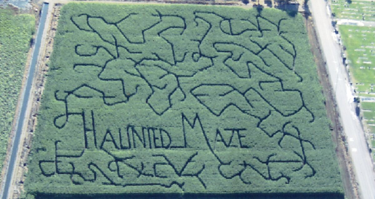 Country Pumpkins corn maze design, 2004
