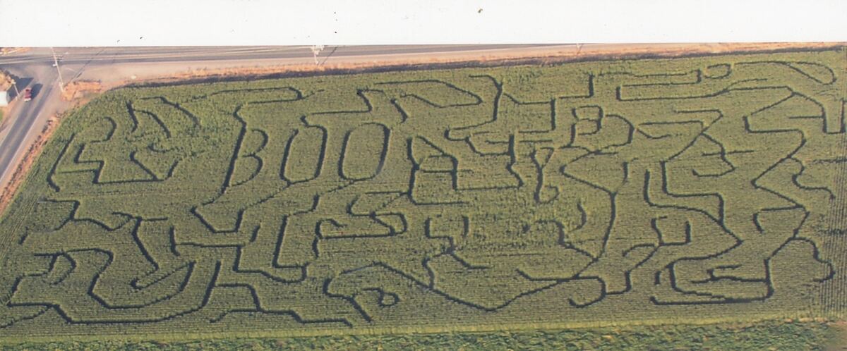 Country Pumpkins corn maze design, 2005