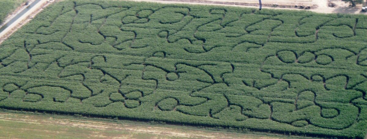 Country Pumpkins corn maze design, 2007