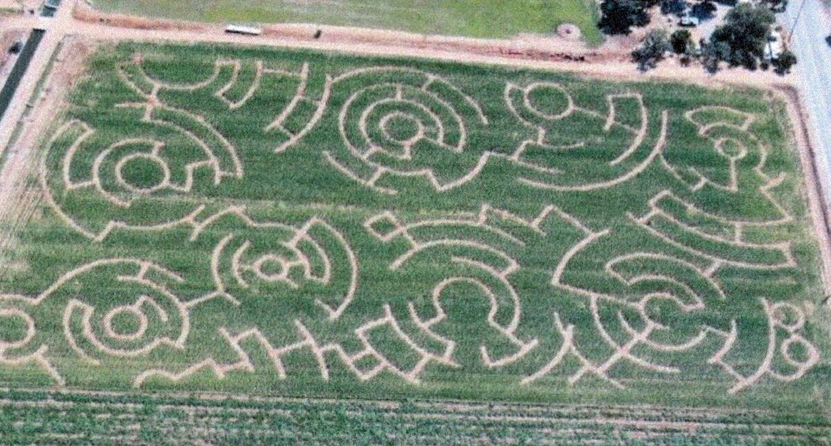 Country Pumpkins corn maze design, 2010
