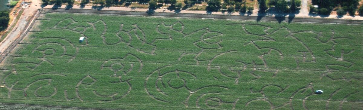 Country Pumpkins corn maze design, 2011