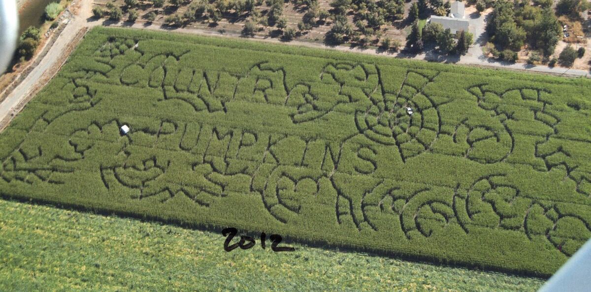 Country Pumpkins corn maze design, 2012