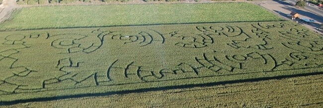 Country Pumpkins corn maze design, 2013