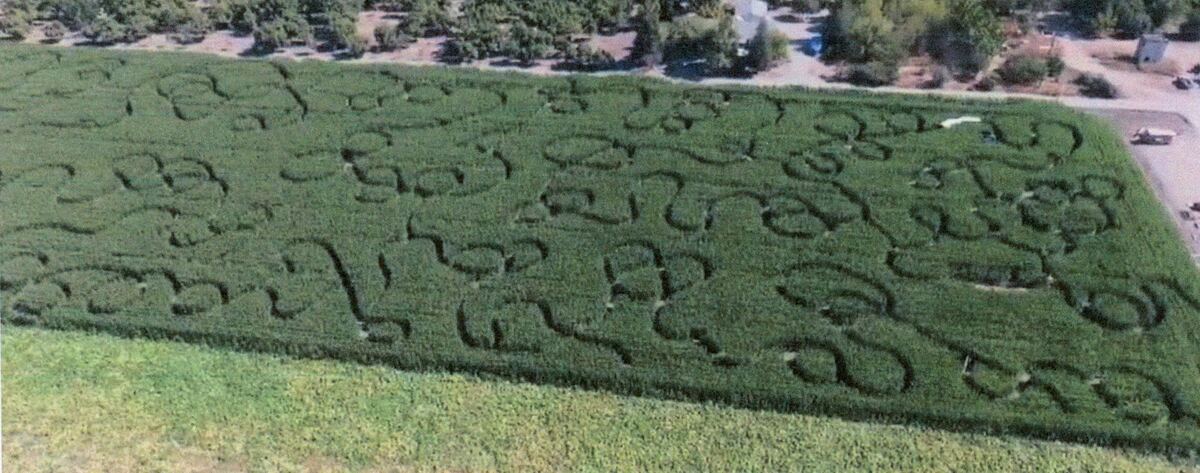 Country Pumpkins corn maze design, 2015