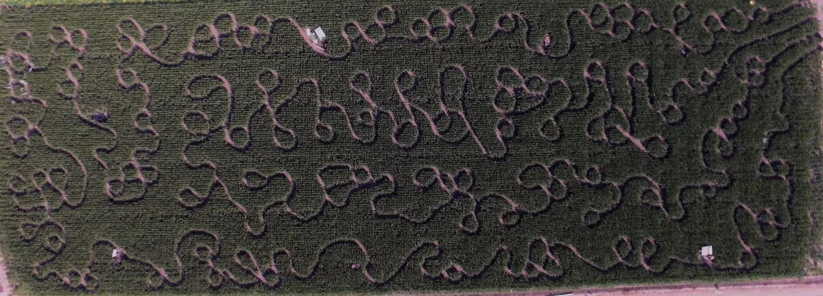 Country Pumpkins corn maze design, 2017