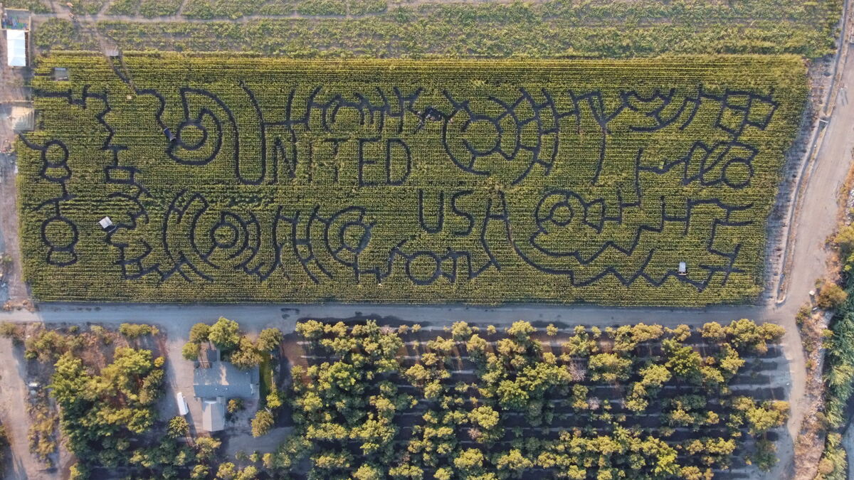 Country Pumpkins corn maze design, 2020